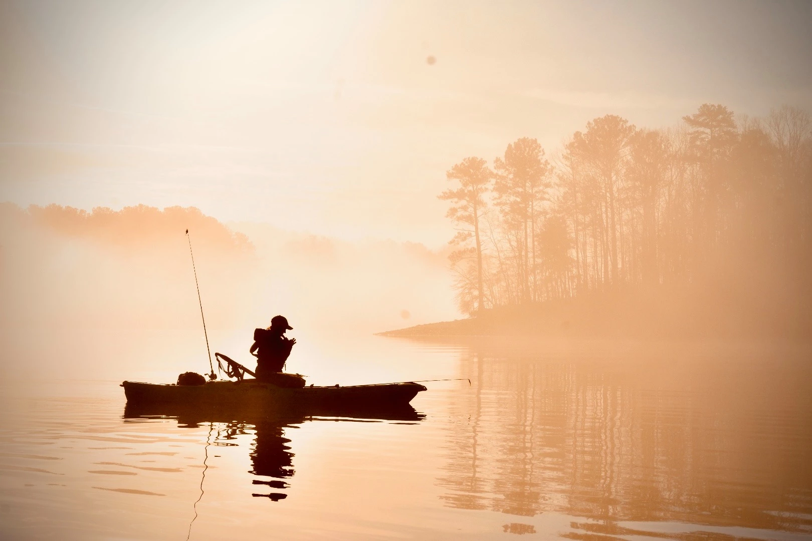 Winkel voor visaccessoires -Winkel voor visaccessoires 252007472 4454054527980956 4994303891057734461 n