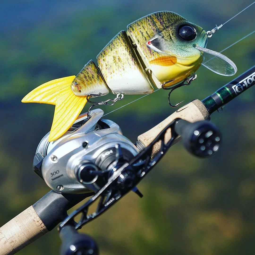 Winkel voor visaccessoires -Winkel voor visaccessoires 297540511 6023729520976167 4339420085861733868 n